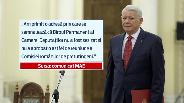 Dreptul la vot al celor din diaspora, tratat pe treptele Parlamentului. "10.000 de romani au o sectie doar la 40km distanta"