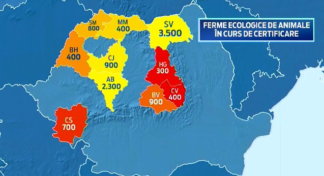 Vanzarile la carnea bio, fara hormoni si antibiotice, au crescut cu 20% in Romania. Cat platim pentru a manca sanatos