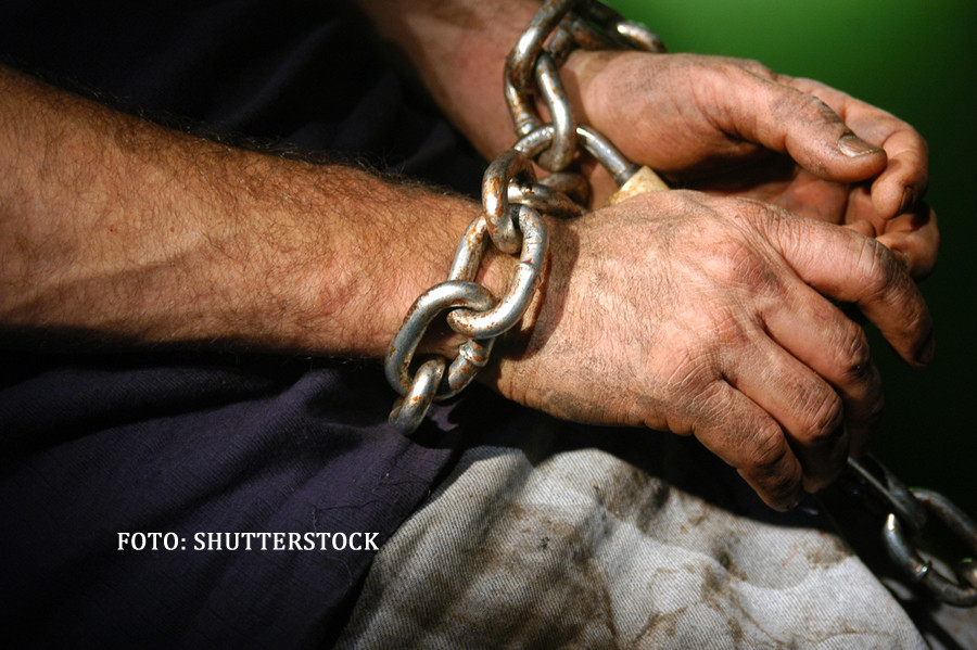 Si-a legat sotul cu lanturi ca sa nu fuga de acasa. Ce au vazut politistii cand au ajuns la fata locului