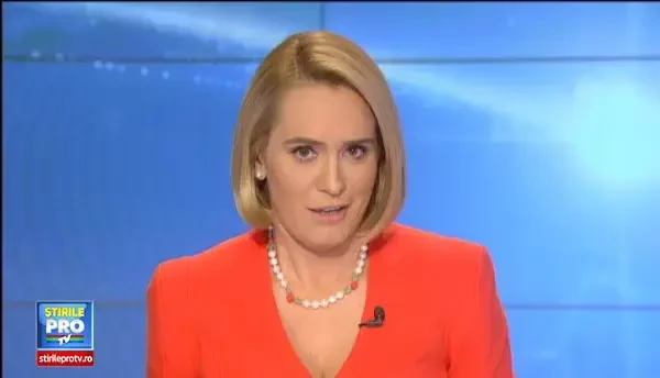 Cati bani vom scoate din buzunar in acest an pentru bradul de Craciun. Tot mai multi romani vor pomi grasuti, ca in filme