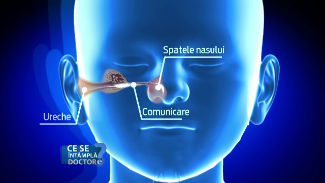 Copiii fac mai des infectii ORL. Cum trebuie tratati pentru a evita deficientele auditive