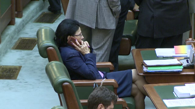 Serban Mihailescu si Ecaterina Andronescu ar putea ajunge joi in fata anchetatorilor. Ultimele detalii din acest dosar