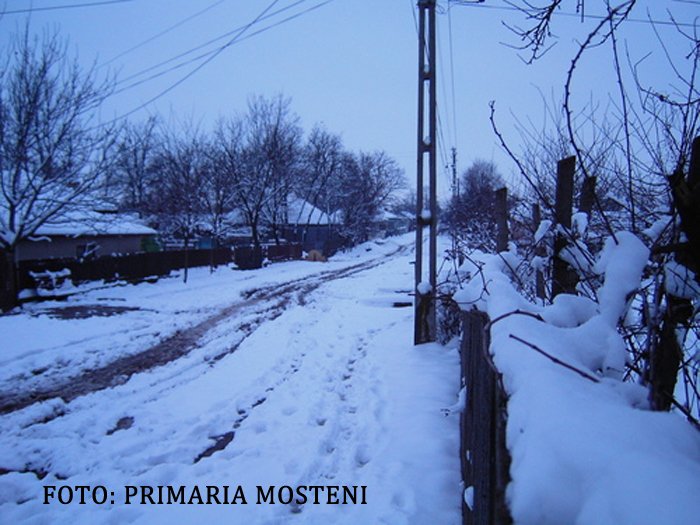 satul Mosteni din Teleorman