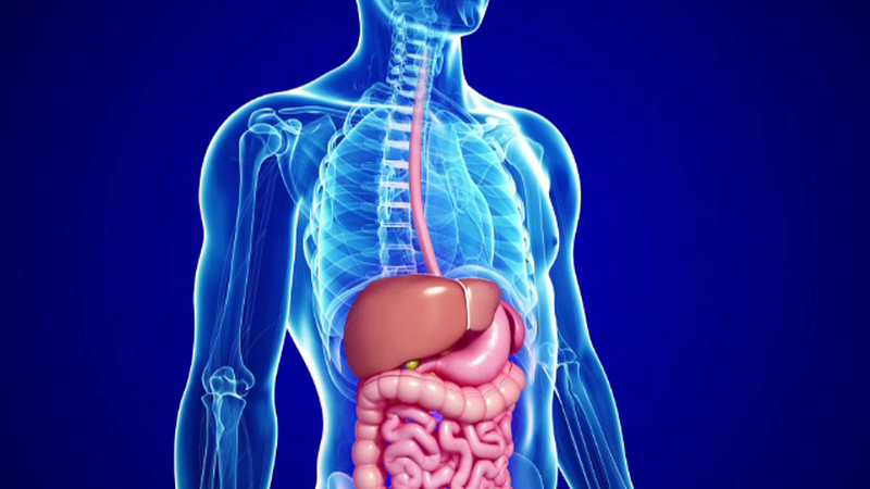 Unul din trei romani sufera de o afectiune digestiva, ca urmare a stresului. Ce recomanda medicii in astfel de cazuri