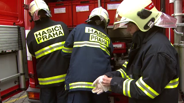 Moda scrisorilor "otravite" a ajuns si in Europa. Doi ministri cehi au primit plicuri cu o toxina puternica, in doze letale