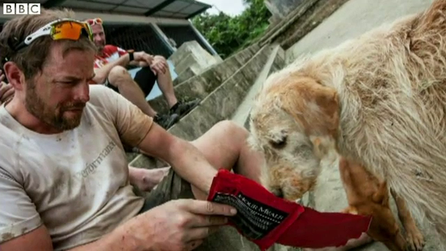 Cel mai loial caine a cucerit inimile unei echipe de atleti suedezi. Cum i-a convins sa-l adopte tocmai din Ecuador