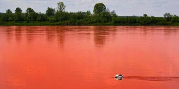 Baie de sange sau Ziua Judecatii de Apoi? Fenomenul bizar care a inrosit peste noapte apele marii si care a semanat panica