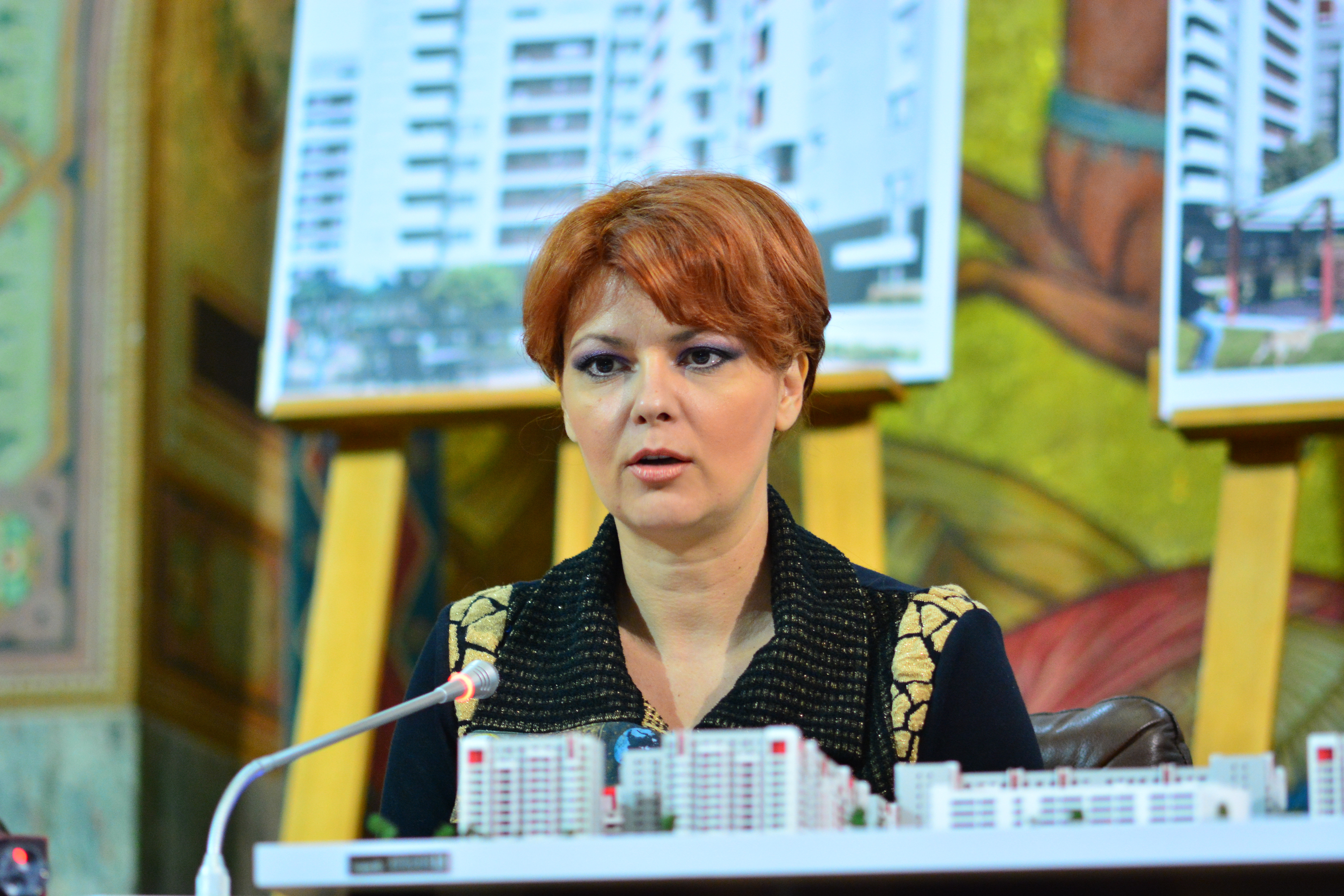 Ancheta a DNA la Primaria Craiovei pornita de la Water Park. Olguta Vasilescu a reactionat pe Facebook cand a aflat