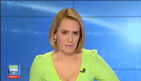 DOSARUL MICROSOFT. Ecaterina Andronescu si Serban Mihailescu, urmariti penal. Ambii si-au sustinut nevinovatia in fata presei