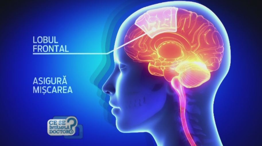 Folosim doar o parte din creier. Adevarul din spatele acestei afirmatii si cum devenim mai inteligenti prin alimentatie