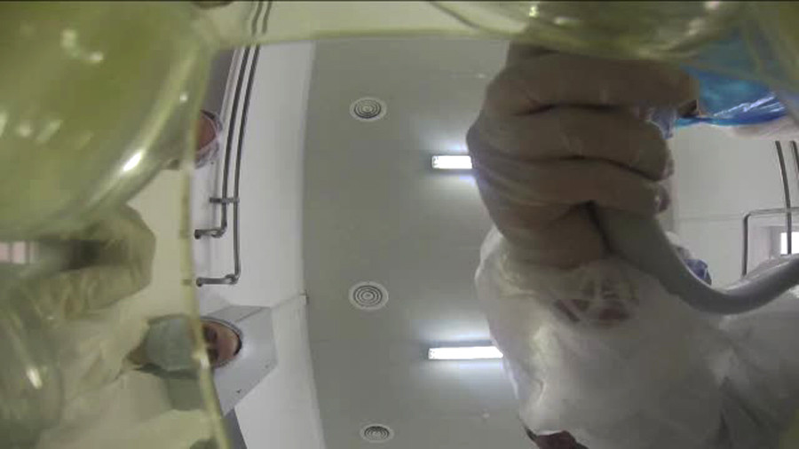 fabrica de iaurturi sanatoase Tecuci