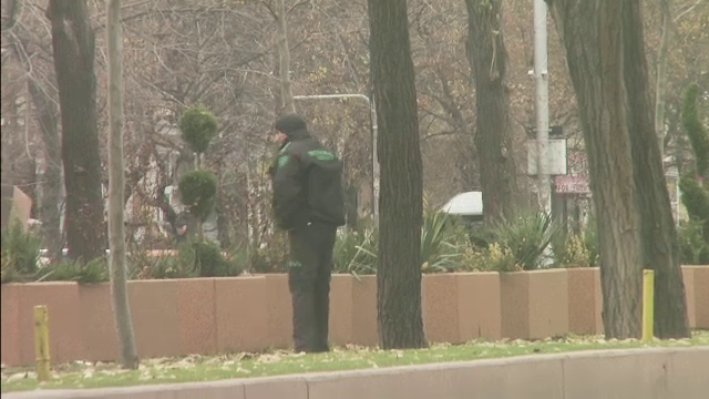 O zi din viata unui agent Scorseze, platit sa pazeasca brazii din sectorul 3. "Pazim draciile astea, ca altfel se fura"