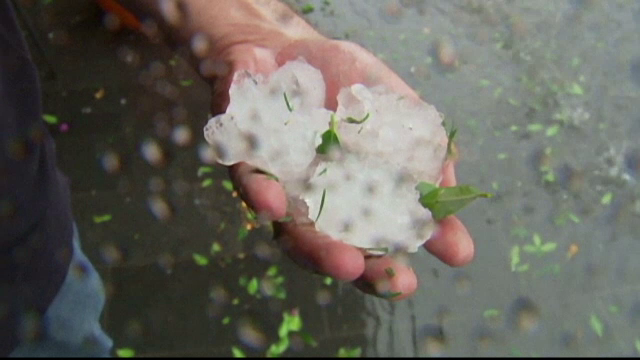 Orasul australian Brisbane, ingropat in gheata dupa cea mai puternica furtuna din ultimele decenii