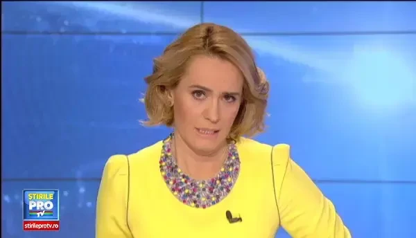 O zi din viata unui agent Scorseze, platit sa pazeasca brazii din sectorul 3.