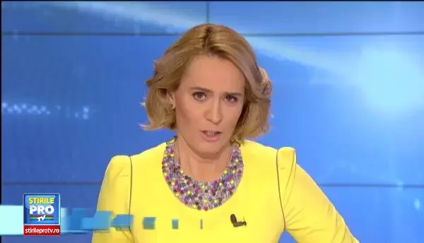 Brazii de Craciun au aparut deja in magazine, dar preturile tin oamenii la distanta. Cum arata pomul de 1.700 de lei