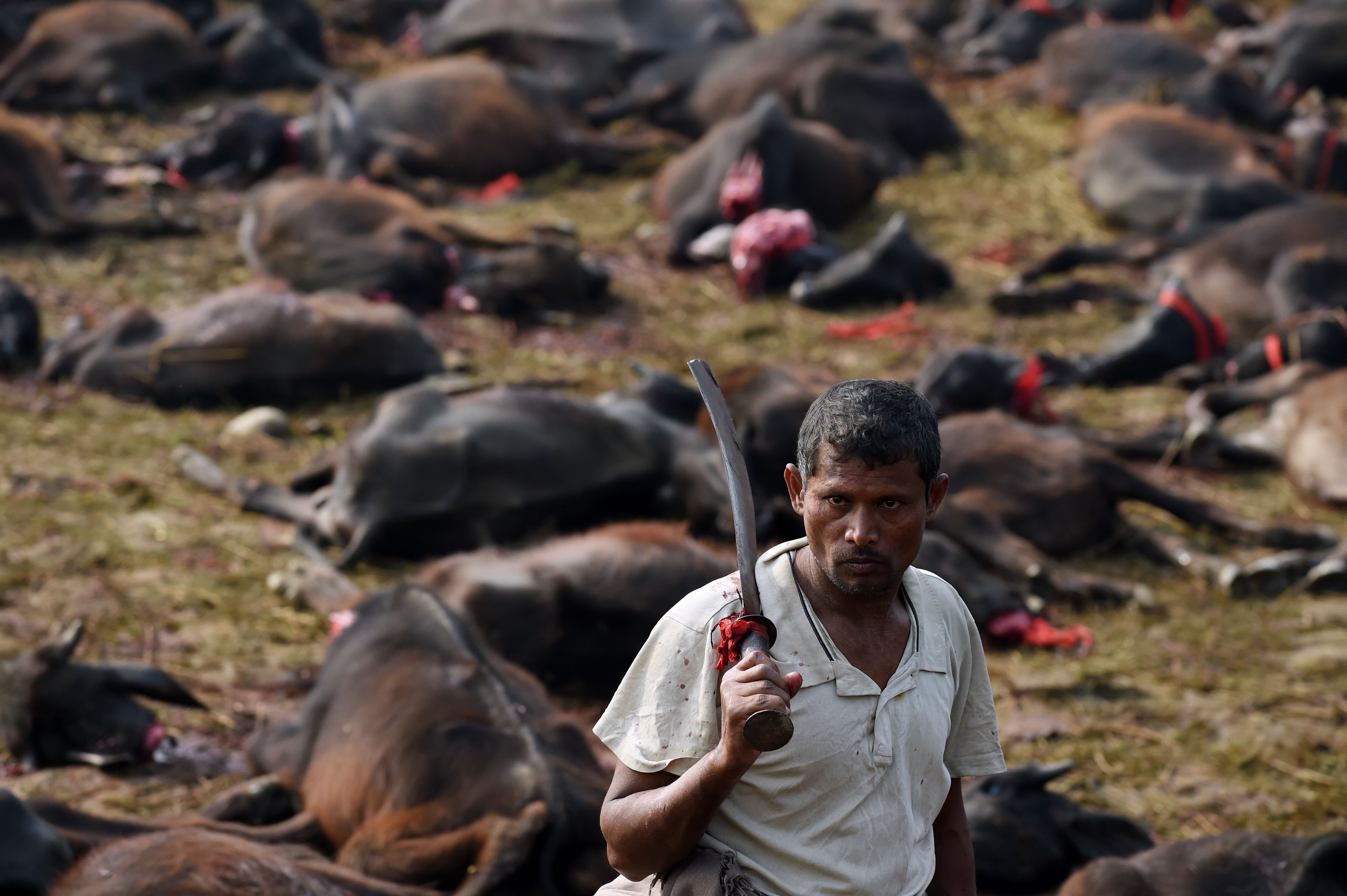 nepal - 6