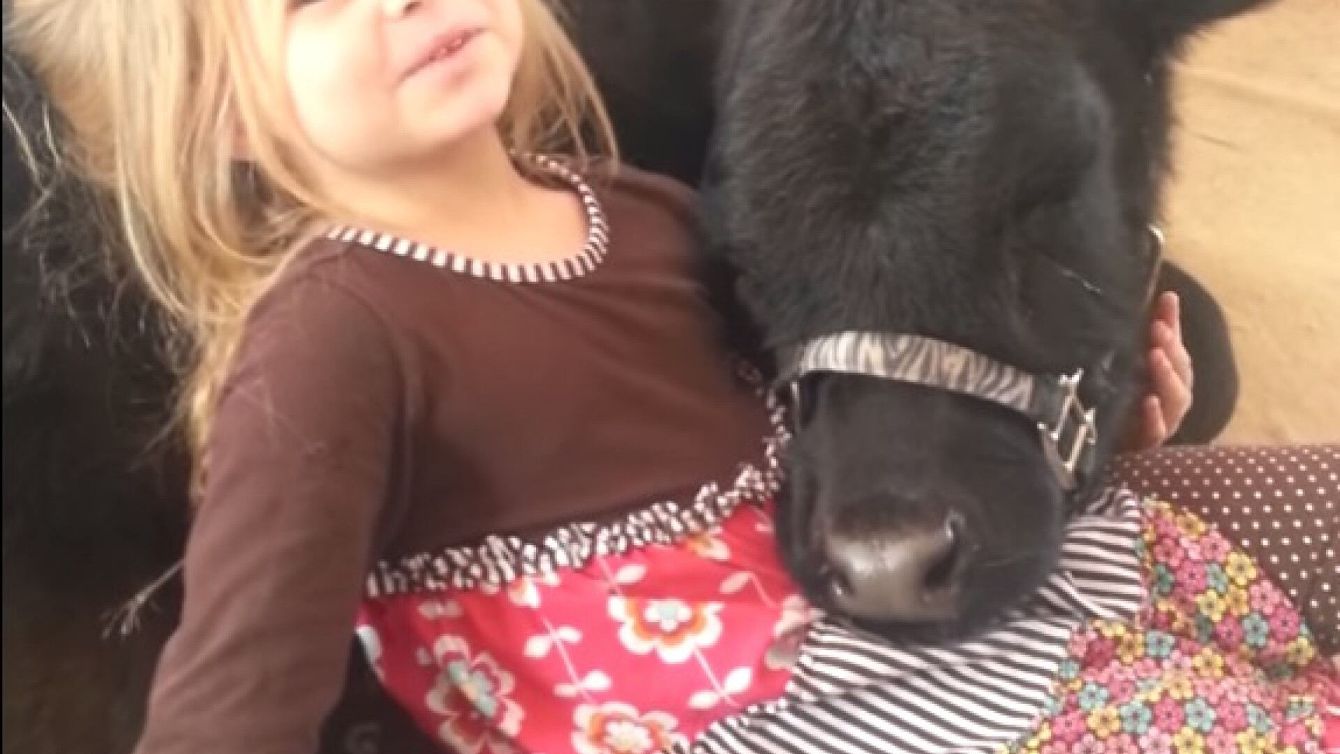 O fetita de 5 ani ii explica mamei sale prezenta unui "oaspete"neasteptat in casa. VIDEO