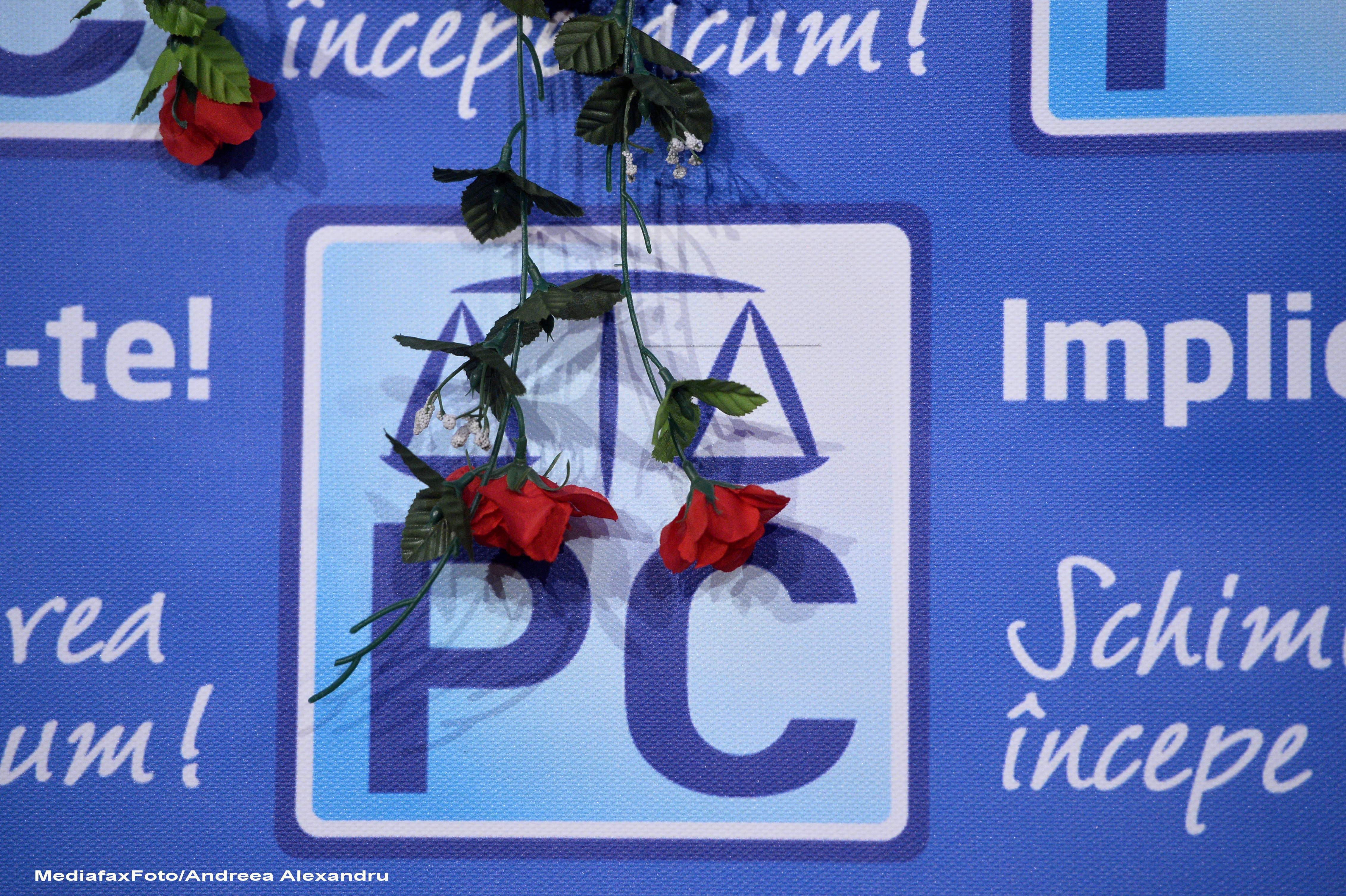 Surse: Seful Biroului de presa al Partidului Conservator a fost propus membru titular in CNA