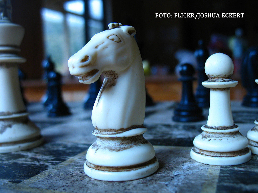 Orasul din Moldova unde in fiecare an se fura CAII DE SAH. Autoritatile nu au nicio explicatie. VIDEO