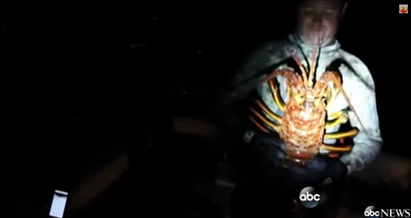 Captura impresionanta facuta de un biolog marin. "Trebuie sa recunosc faptul ca am vrut sa il gatesc". VIDEO