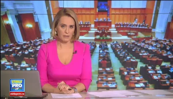 Legea bonelor, adoptata miercuri de deputati. Femeile vor avea nevoie de o calificare pentru a ingriji copii contra-cost