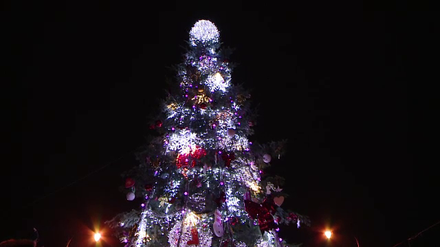 Magia sarbatorilor de iarna a cuprins mai multe orase din tara. Cum arata bradul inalt de 10 metri ridicat la Iasi