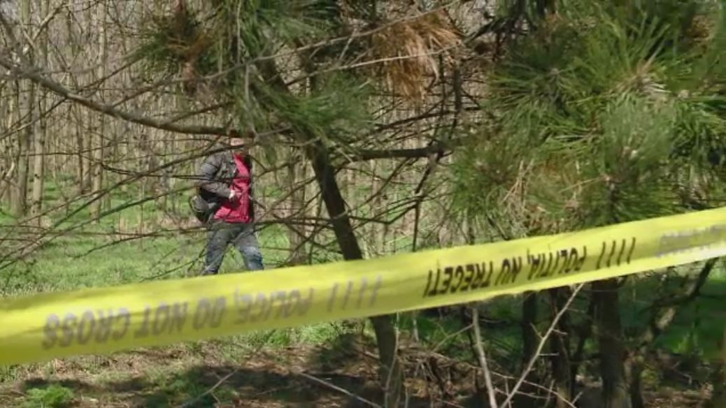 Descoperire socanta intr-o comuna din Cluj. Cadavrul unei femei, gasit dupa ce un caine i-a dus unui satean craniul victimei