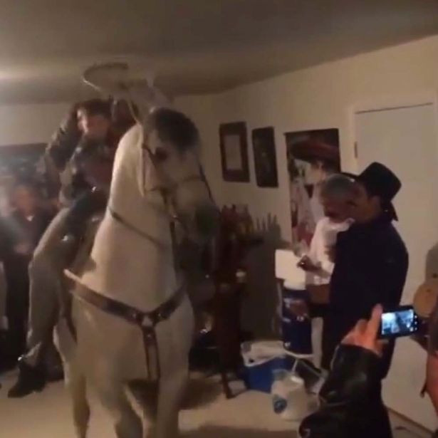 Surpriza care i-a lasat masca pe toti invitatii. Cum a aparut un barbat la o petrecere