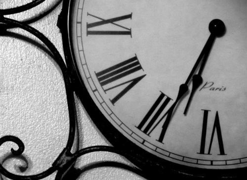 Pasarile de noapte versus persoanele matinale. Cine castiga?