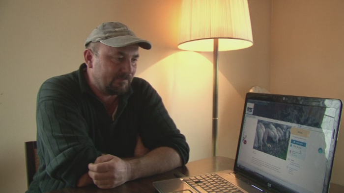 Sarbatori in rate pentru romanii fara bani. Porcii si brazii de Craciun se vand acum la "mica intelegere"