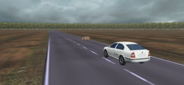 ANIMATIE GRAFICA. Un barbat a murit si altul a fost grav ranit din cauza unui porc iesit pe sosea. Cum s-a produs accidentul