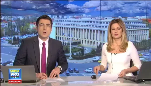 Alina Bica ar fi primit mita 3,5 milioane euro de la Ioan Niculae, prin Liviu Dragnea. Implicarea Elenei Udrea in acest caz