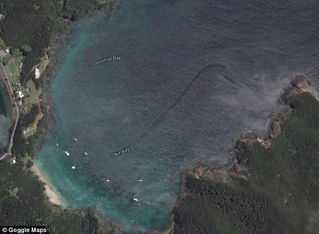 "Prea mare pentru un rechin, prea rapida pentru o balena". Misterioasa creatura gigant gasita de un barbat pe... Google Maps
