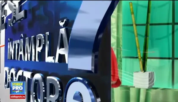 Cum trebuie facuta corect ecografia la san si cea abdominala. Medicii pot sa afle informatii utile despre starea de sanatate