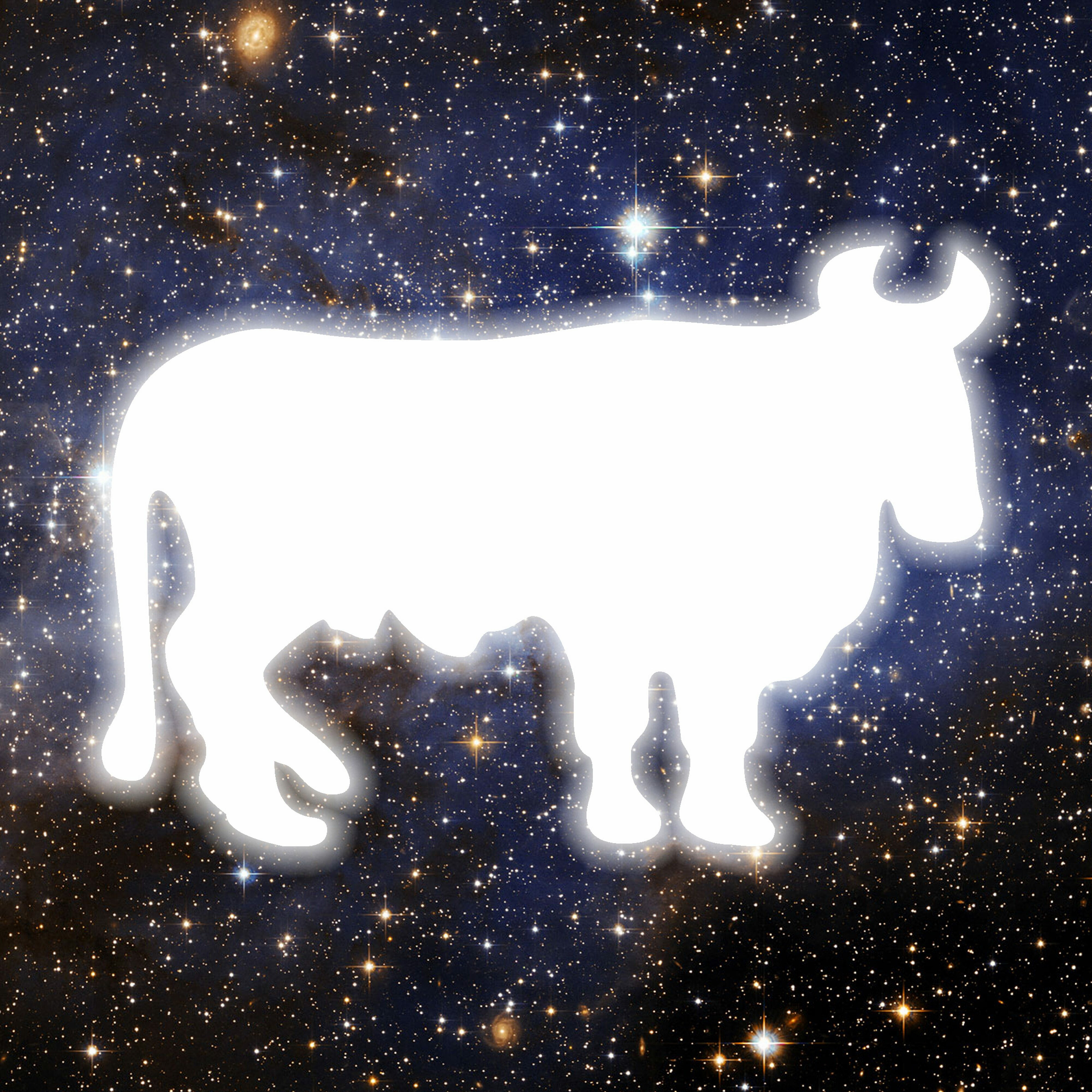 HOROSCOP 2015. Neti Sandu prezinta previziunile pe 2015 pentru cei nascuti in zodia Taur