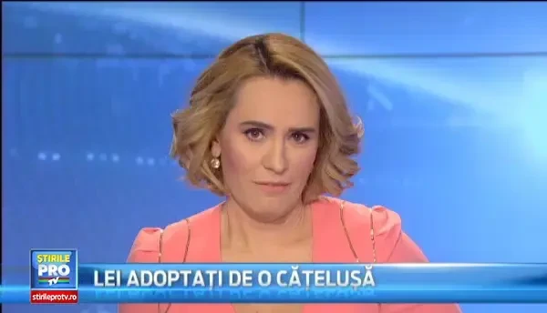 Cantaretul britanic Robbie Williams va sustine concert in Romania, in 2015. Vine sigur la Bucuresti