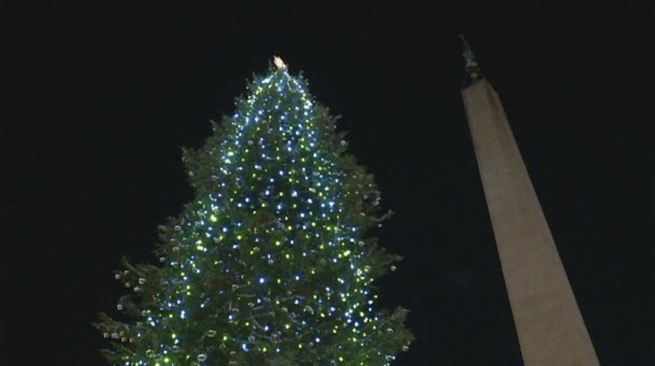 Bradul de Craciun de la Vatican a fost impodobit. Are 25 de metri si a fost o donatie