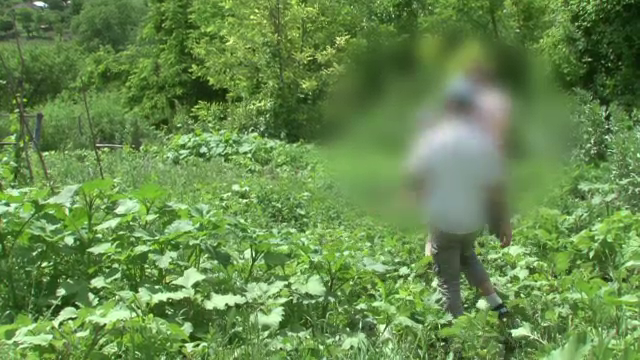 Un barbat din Vaslui, condamnat dupa ce a incalcat de 3 ori ordin un ordin de protectie. Reactia victimei: "Pentru o palma?"