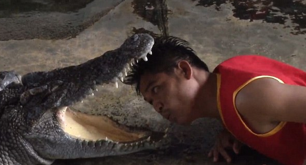 Cea mai periculoasa meserie din lume. Ce se intampla cand un barbat isi baga capul in gura unui crocodil
