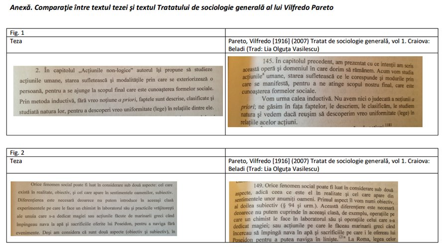 plagiat Olguta Vasilescu Pareto