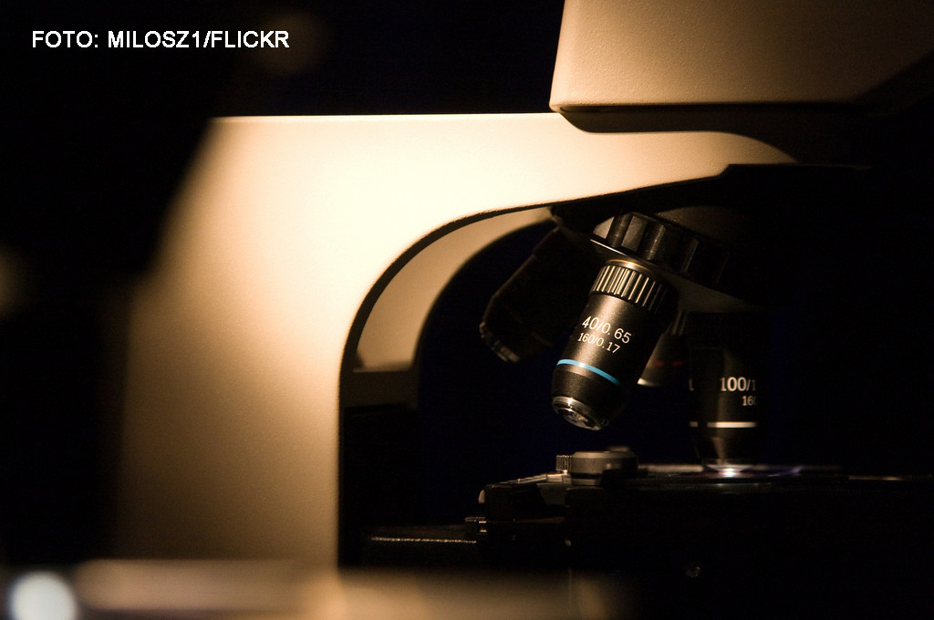 Cum arata Craciunul vazut la microscop. Experimentul VIRAL facut de savantii de la Universitatea Oxford