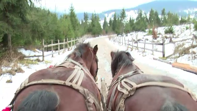 "Fenomenal. Acesta este Craciunul adevarat". Privelistea de basm din Apuseni i-a cucerit pe turistii veniti tocmai din SUA
