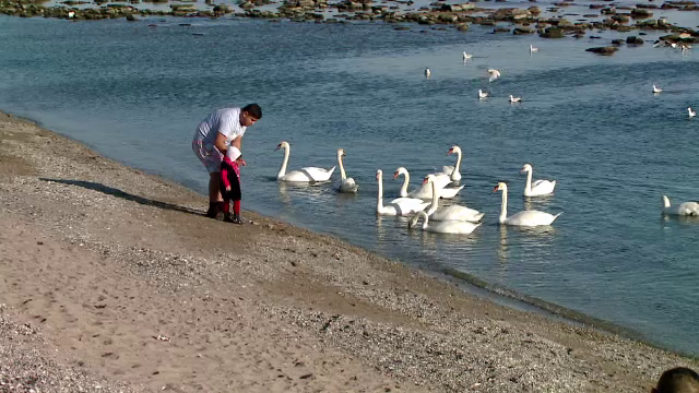 Cum s-au distrat turistii de Craciun, in lipsa zapezii: plimbarile cu ATV-ul si hranitul lebedelor i-au tinut ocupati