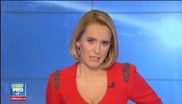 Hotelurile pentru animale, aglomerate la sfarsit de an. La cat poate ajunge o noapte de cazare pentru necuvantatoare