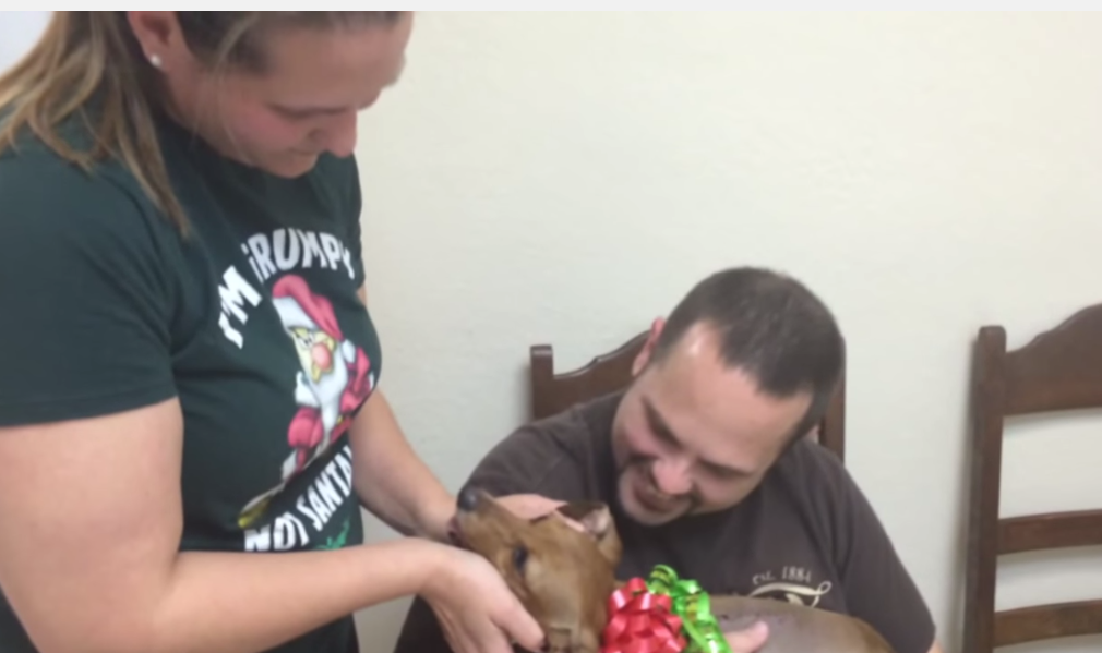 Cea mai frumoasa surpriza pentru un cuplu care nu avea bani pentru operatia catelusului paralizat. Gestul care i-a emotionat