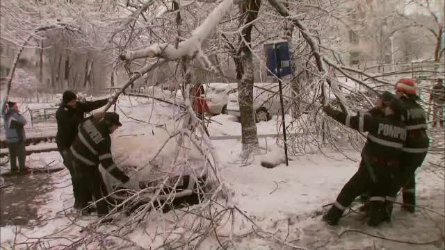 27 de masini au fost avariate in Capitala din cauza copacilor cazuti. Cat de mult vor scadea temperaturile la noapte