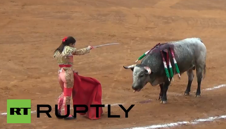 O femeie toreador a fost luata in coarne de un taur in timpul unei coride. Imagini cu impact emotional puternic. VIDEO