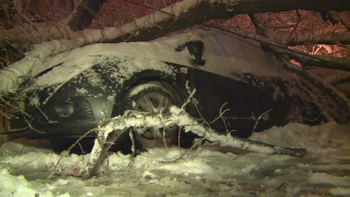 Peste 60 de masini au fost avariate de viscolul din Capitala. Lungul drum birocratic prin care soferii isi pot recupera banii
