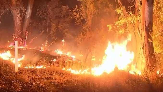 Sudul Australiei este afectat de cele mai puternice incendii de padure din ultimii 30 de ani