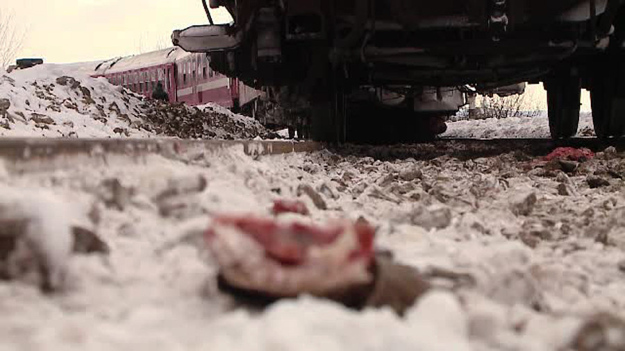 Un tren a deraiat in Cluj, dupa ce a lovit o cireada de bivoli. Animalele au fost taiate in bucati, pentru a fi indepartate